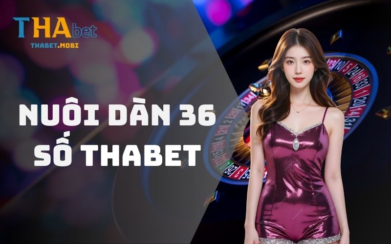 Dàn Đề Nuôi 36 Số - Phương Pháp Chơi Lô Đề Hiệu Quả 1 dan 36 so