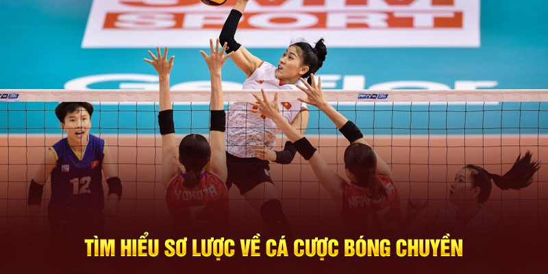 Hướng Dẫn Kèo Bóng Chuyền Chuẩn Cho Người Mới 2 AD 4nXdKcIgyR5hjvcc32C6tNNz21 n7JuE0zzx13f31lYugYPFvCZD7LyXuvtZRtIJ0c2mv ElbU20XlP3bte2dW8P6w1C57UoPfzdsQG9ANT2iODnZAyKCltu9HlNjHIQpUToVyZa1HA