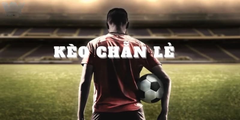 Cược chẵn lẻ là gì và bí kíp chơi hiệu quả từ dân chuyên 3 image 1