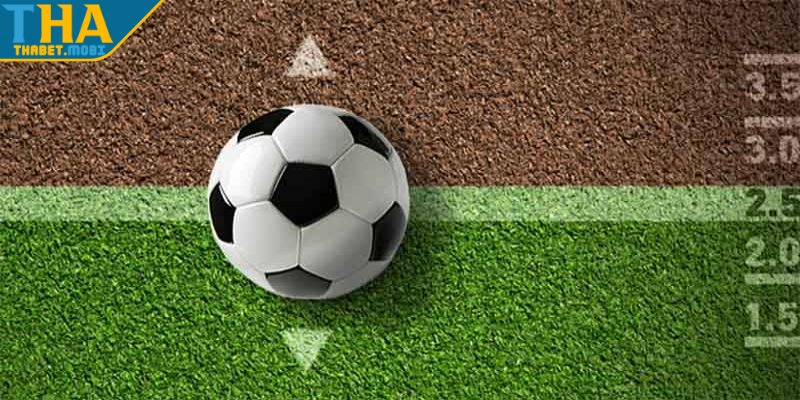 Kèo Bóng Handicap: Bí Kíp Thắng Cược Tại Thabet 4 keo bong handicap huong dan